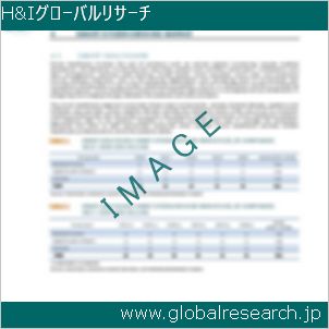 グローバルリサーチ調査レポートのイメージ